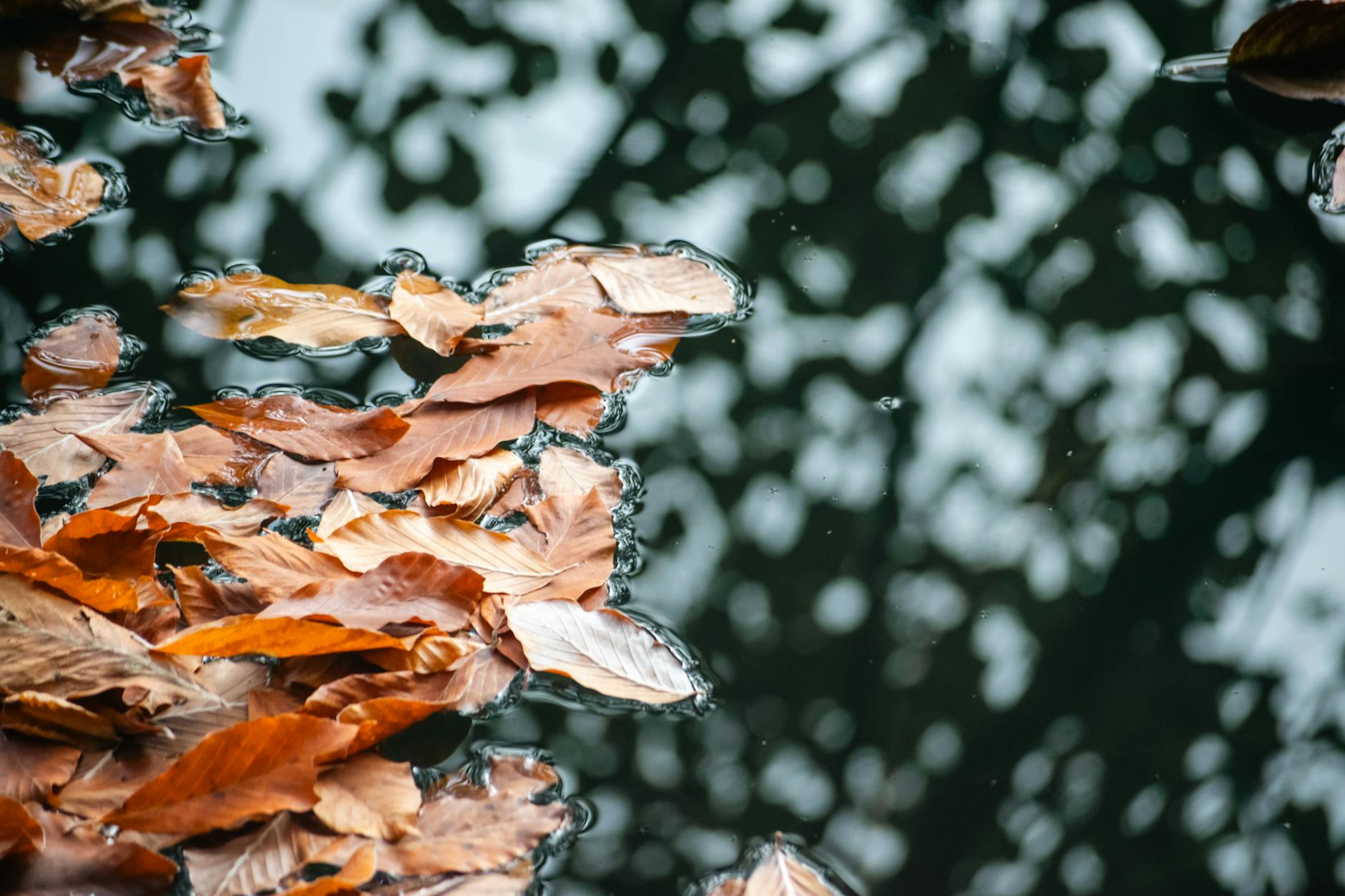 Nettoyer ses gouttières : outil + méthode efficace