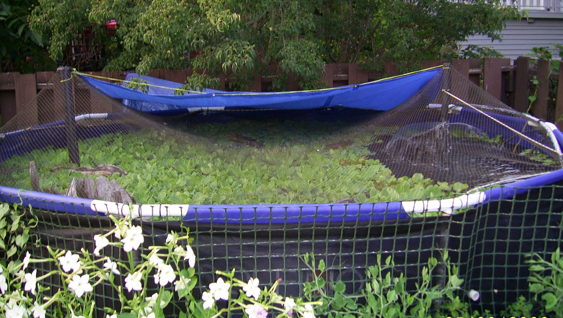 Est-il facile d&rsquo;entretenir une piscine autoportée ?